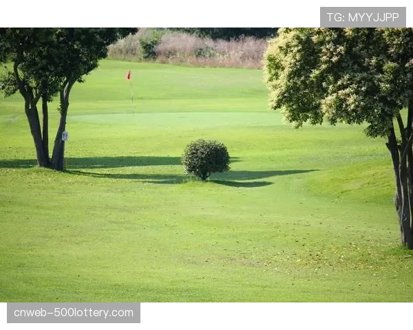 罗马新球场建设计划获得市议会最终环境许可